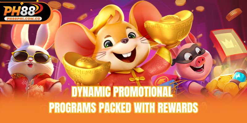 Dynamic promotional programs packed with rewards