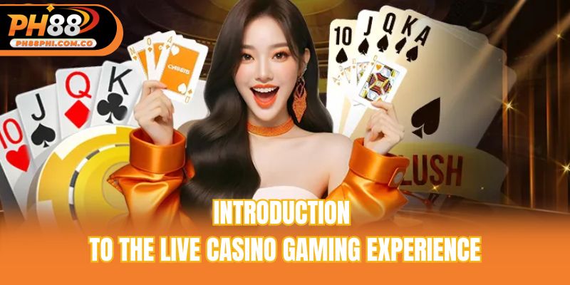 Introduction to the live casino gaming experience