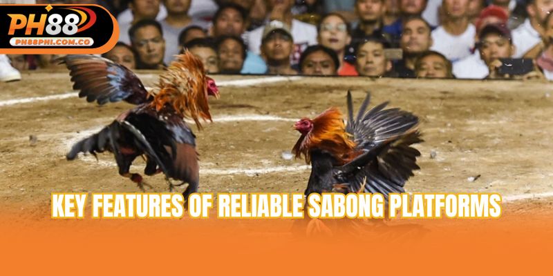 Key features of reliable sabong platforms