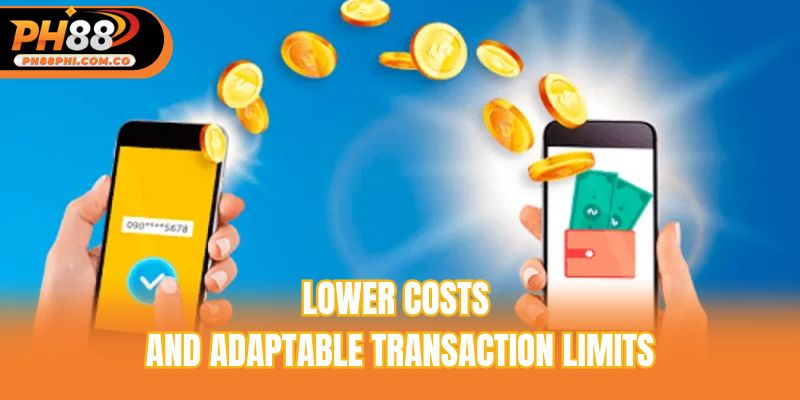 Lower costs and adaptable transaction limits