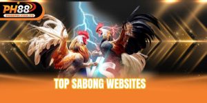 top sabong websites